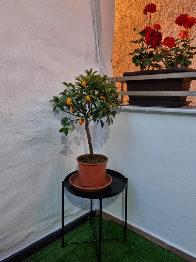 פלרמו Giardino Moreno מראה חיצוני תמונה
